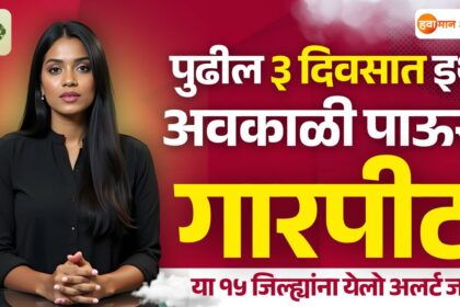 Monsoon Update 2025 yellow alert to this 15 districts