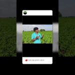 1752641772 maxresdefault