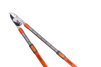 51T5Y6bszHL. SL1500