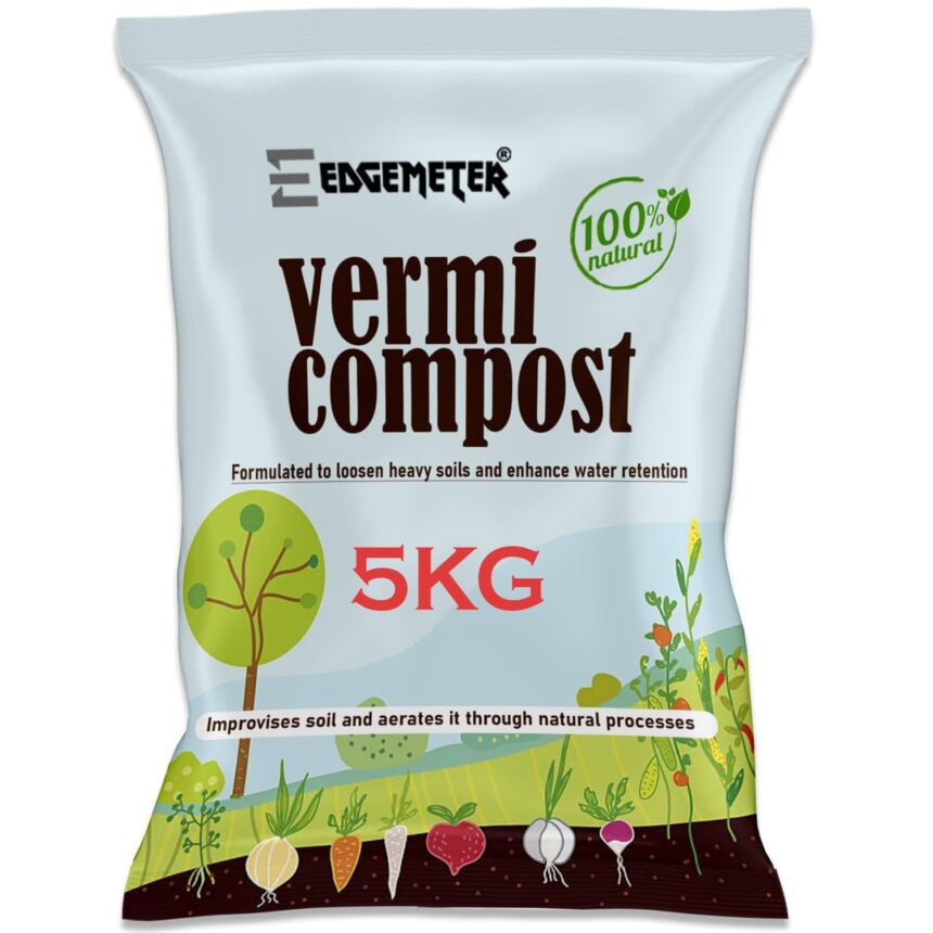 61OVBhUMI6L. SL1500