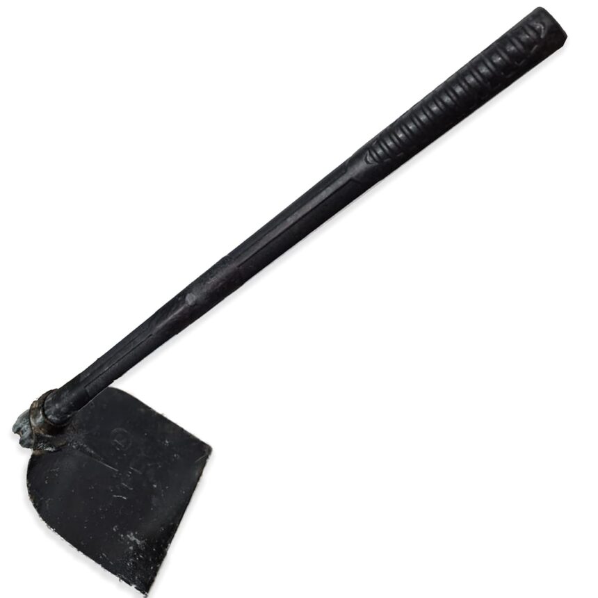 61cy5BAuXyL. SL1500