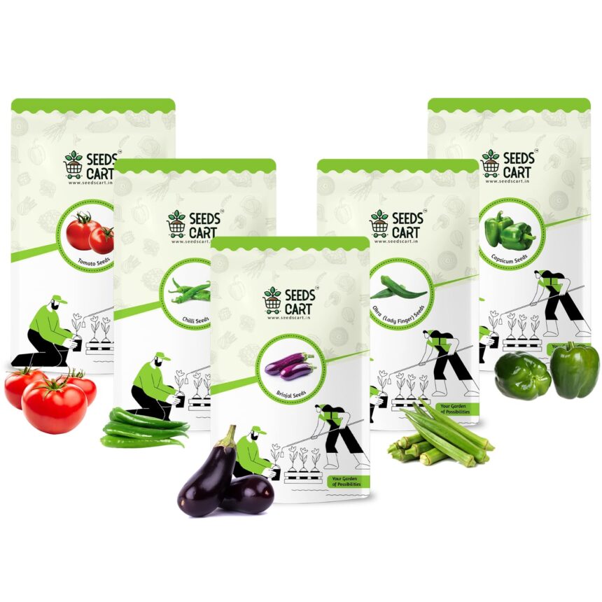 71nP9vEvAUL. SL1500